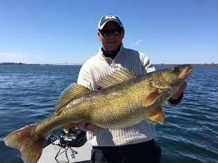 DEC Announces Northern Pike Pickerel Tiger Muskellunge and Walleye Blue Water Fish