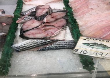 Illegal Striped Bass for Sale - Nassau County