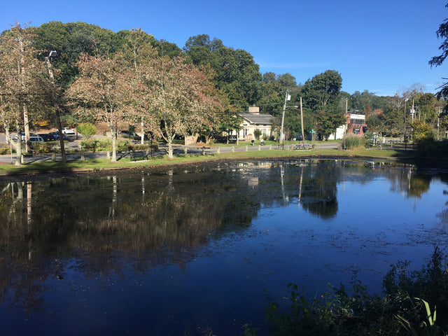 Historic Wading River New York Duck Pond