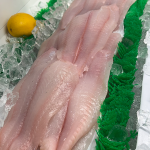 Local South Shore Fluke