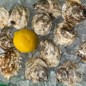 Fresh Oysters - Seafood Market in Suffolk County